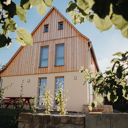Ferienhaus Am Hoernchen Glashutte  Buitenkant foto